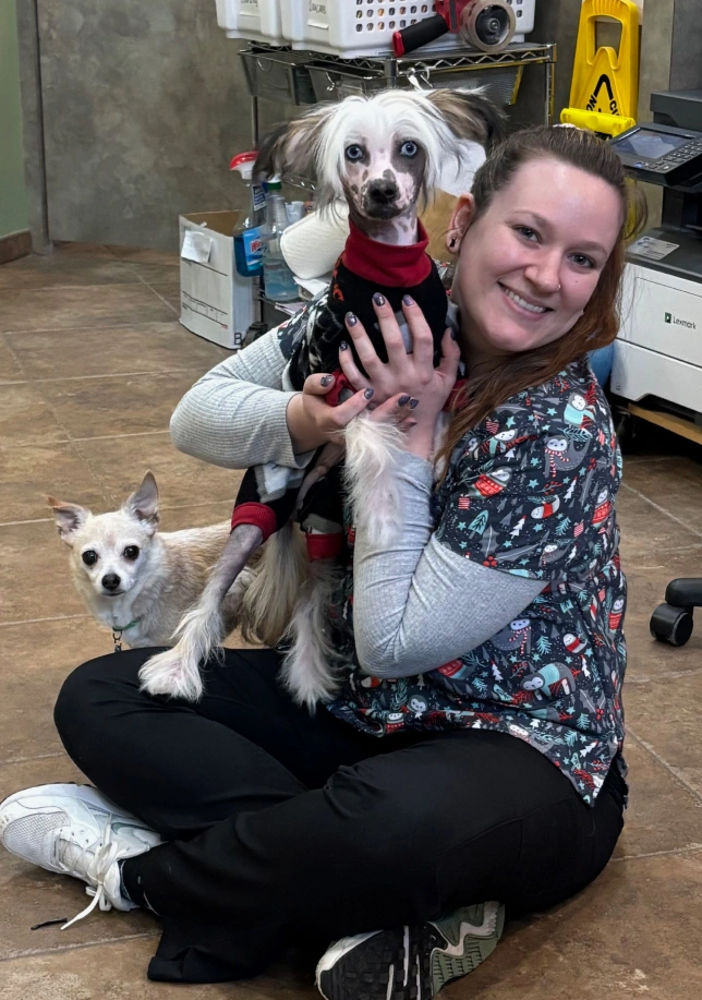 Easy Scheduling with PetDesk